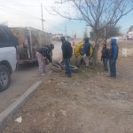 Limpian camellón en fraccionamiento Villas de Alcalá.