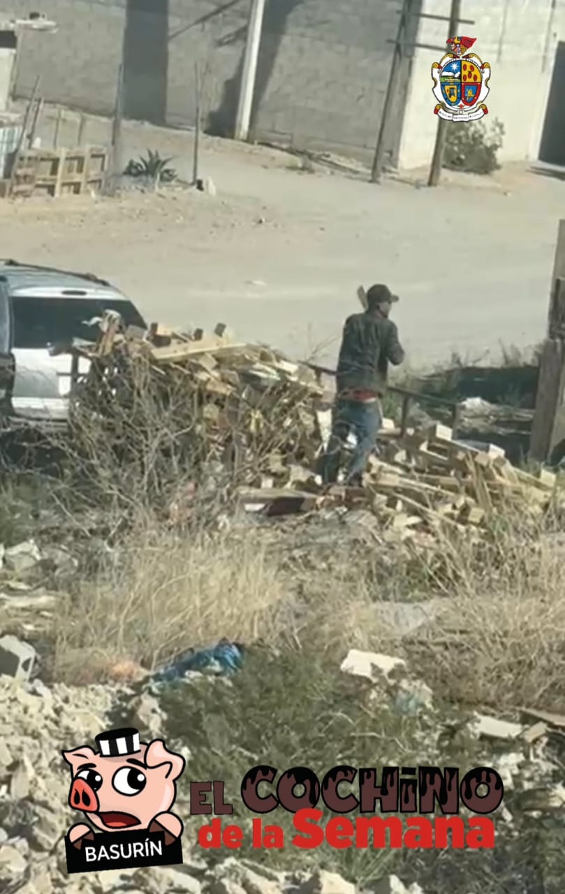 cochino de la semana 8mar