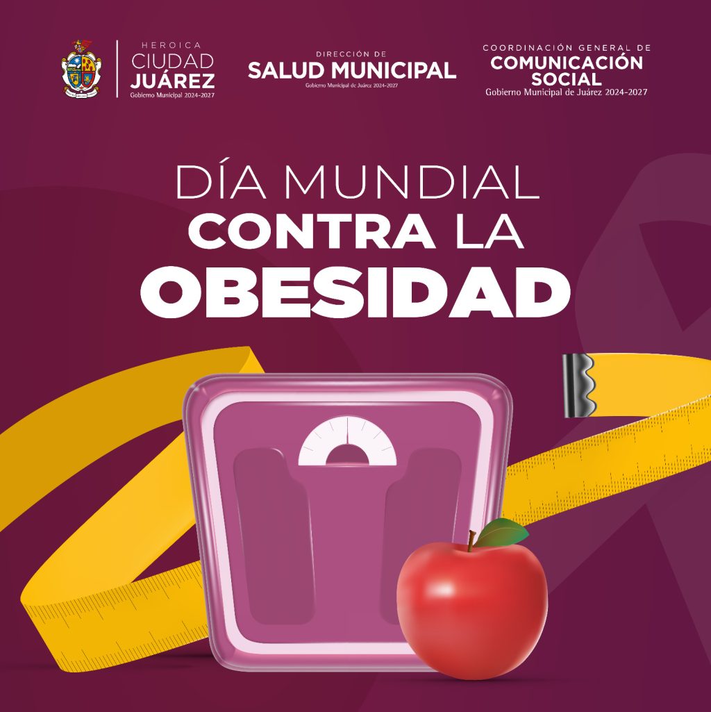 dia obesidad