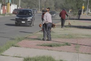 limpian avenidas-25mzo