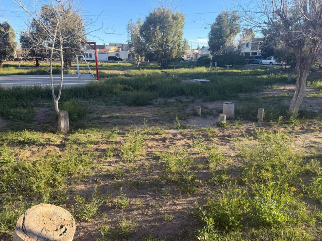 parque