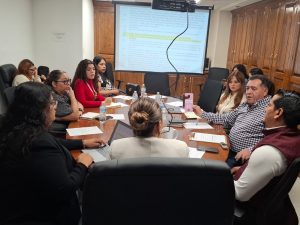 regidores cajones rosas