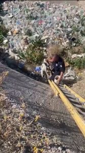 rescate perro Zacatecas