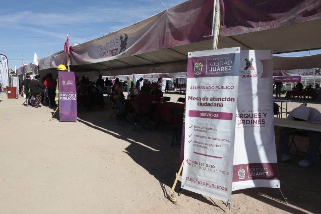 servicios previos cruzadas granjas