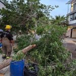 Reporta Protección Civil 57 servicios de emergencia en 24 horas en Ciudad Juárez