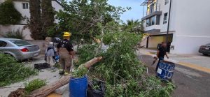 atenciones bomberos 11abr