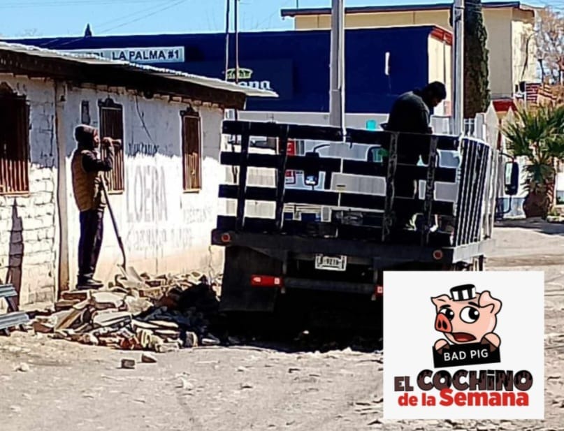 cochino semana 20abr