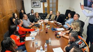 declararan dia mpal de esclerosis