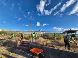 fza juveni verde accion