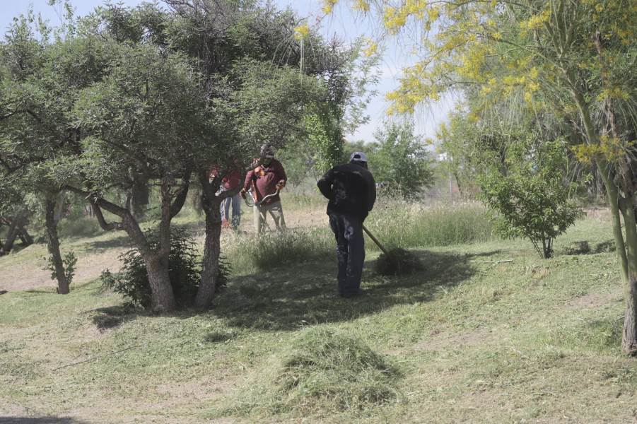 mantenimiento parque jar valle