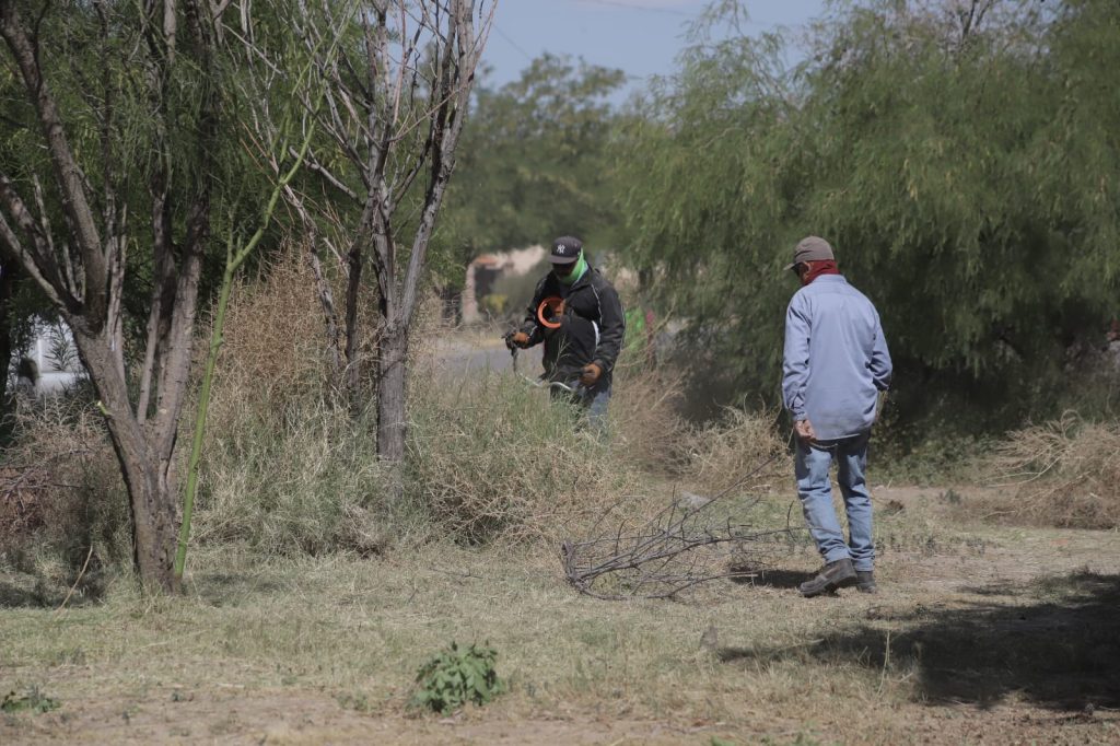 parque quintas del valle