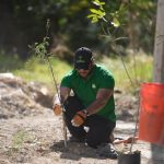 Rehabilitan parque en colonia López Mateos con limpieza y reforestación