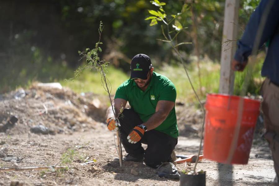 partido verde rehabilita parque