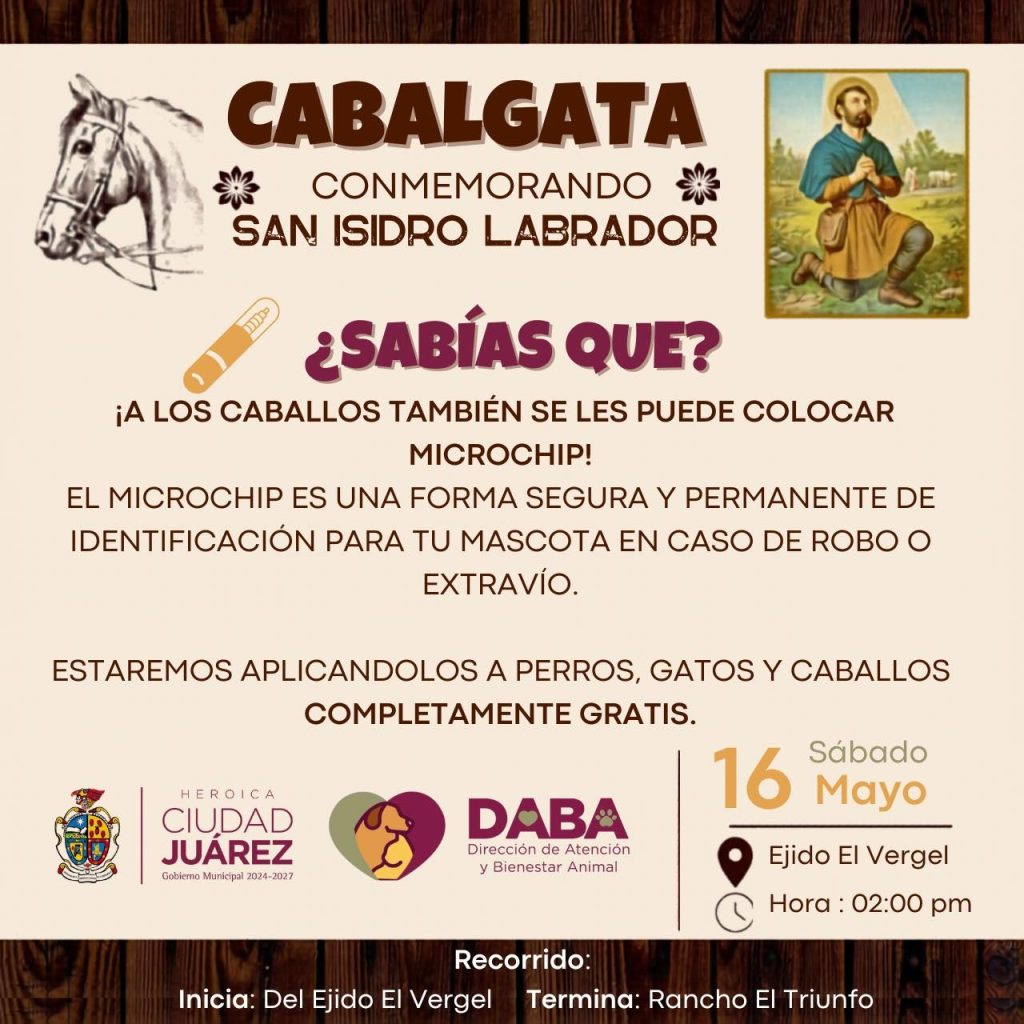 caballos con chip