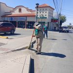 Mantienen trabajos de limpieza y rehabilitación urbana en avenidas de Juárez