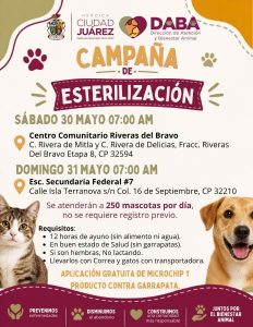 esterilizacion mascotas en riberas