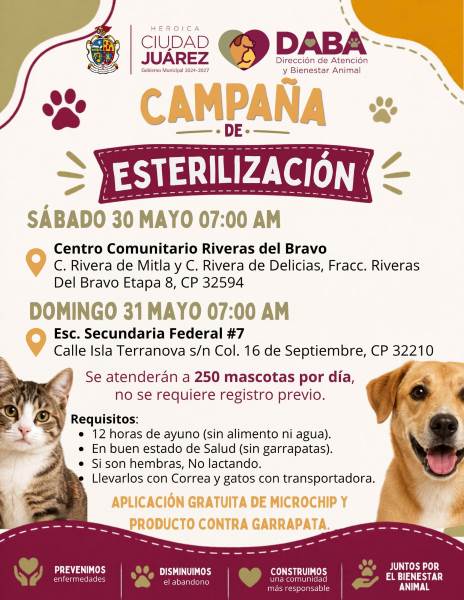 esterilizacion mascotas en riberas
