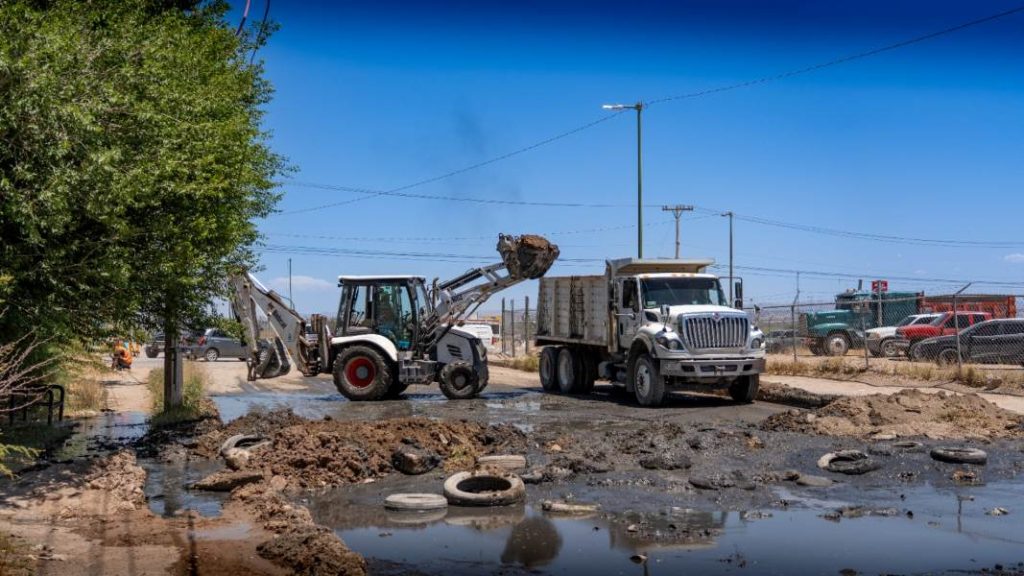 jmas-trabajos limpieza tierra nueva