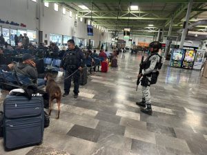k-9 en central camionera