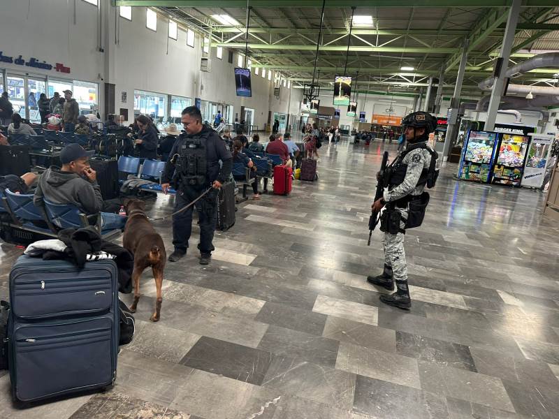 k-9 en central camionera