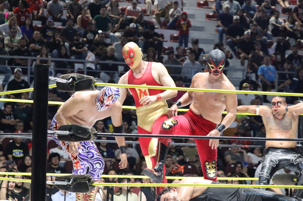 lucha libre domingo