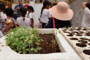niños en vivero