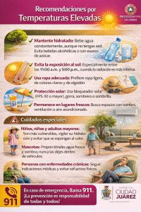 recomendaciones calor