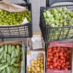 Invitan a jornada de venta de productos regionales en Ciudad Juárez