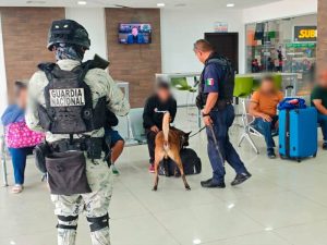 vigilancia policica cc
