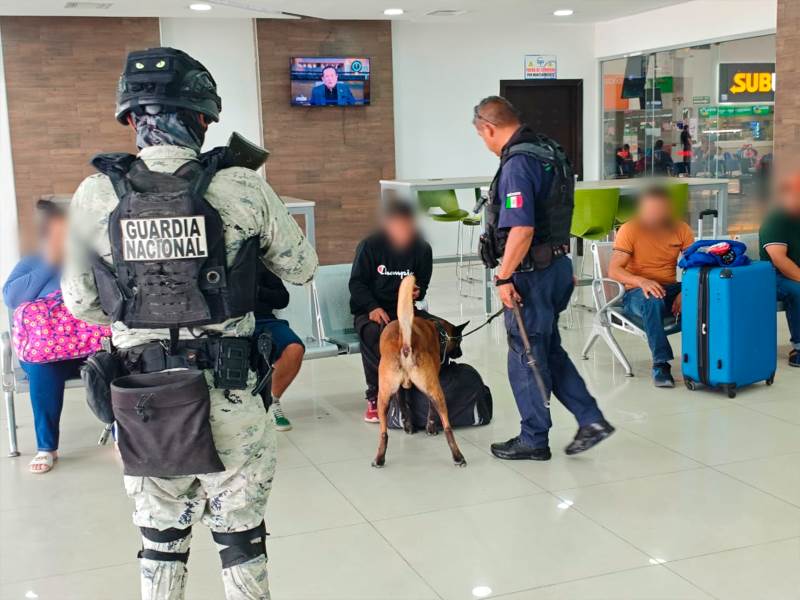 vigilancia policica cc