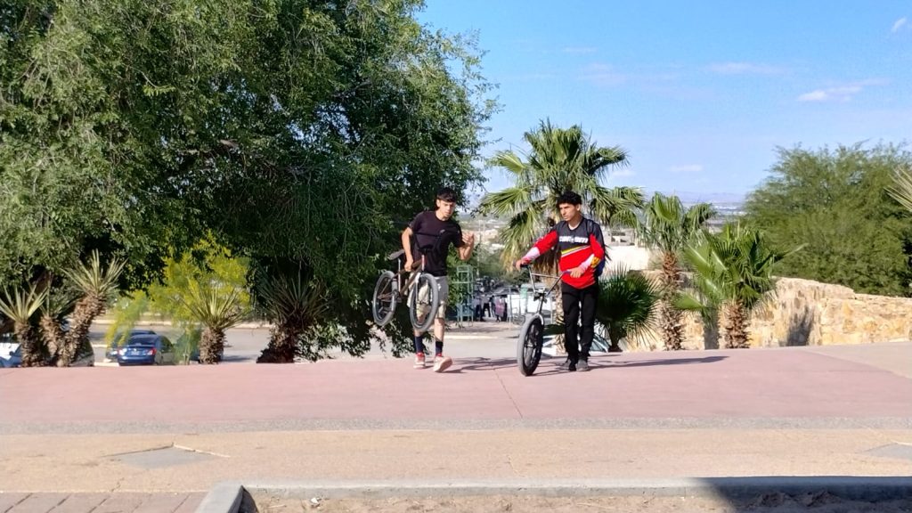vive parque