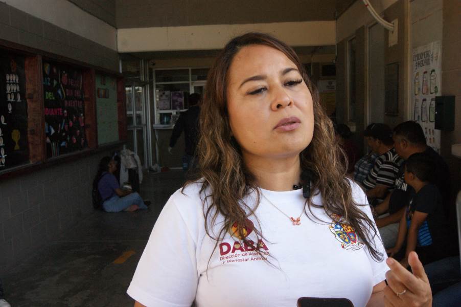 Alma-esterilizacion 20jun