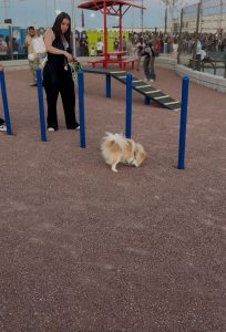 area especial mascotas parque