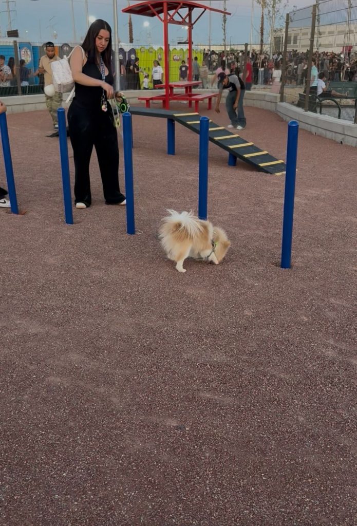 area especial mascotas parque