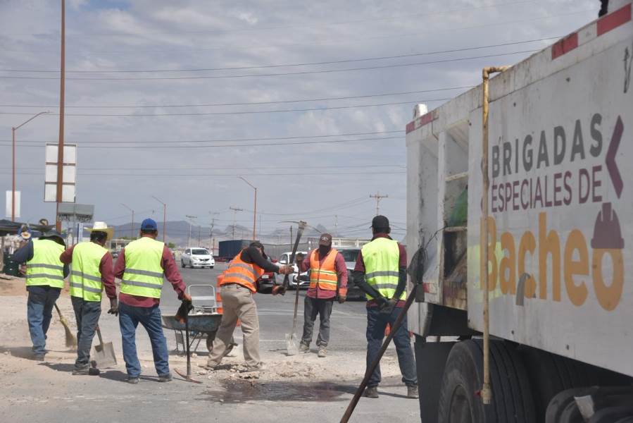 bacheo mayo