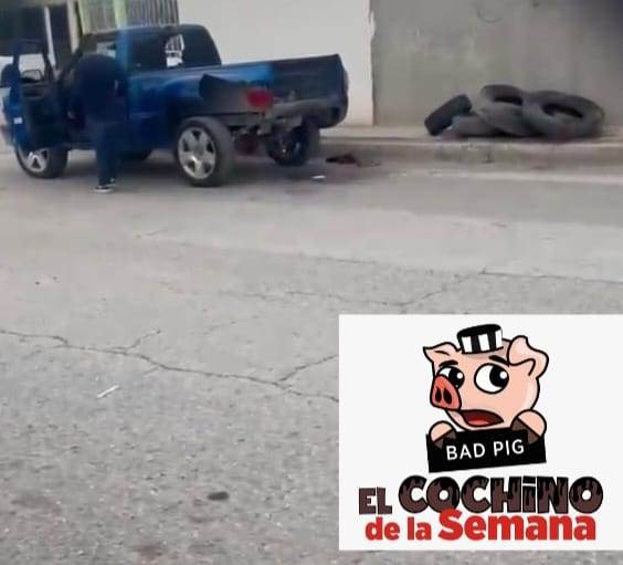 buscan a cochino de la semana