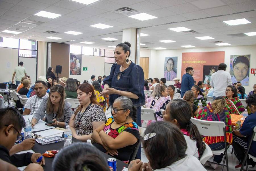 consulta indigena 2026