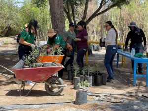 foxcon vol en vivero