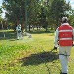 Refuerzan combate contra la garrapata con fumigación en parques y viviendas de Ciudad Juárez