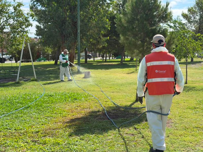 fumigan parque los gueros