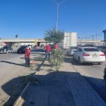 Realizan mantenimiento en camellón de la carretera Juárez–Porvenir