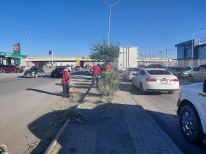 limpian camellon de la juarez porve