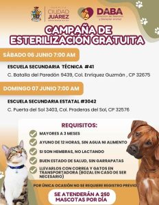 sabado domingo esterilizacion