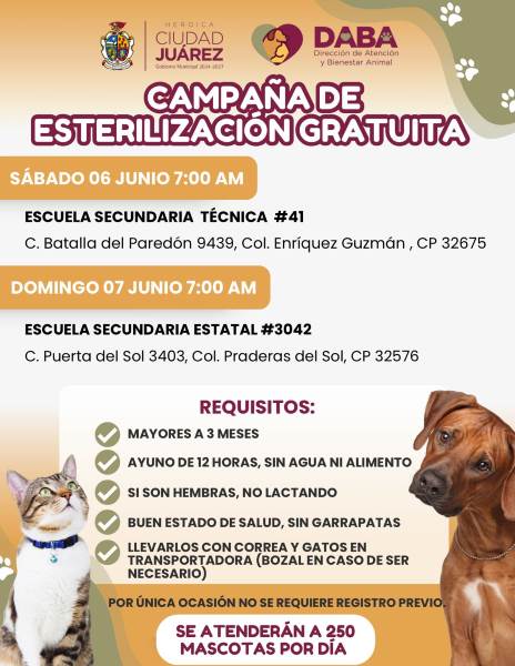 sabado domingo esterilizacion
