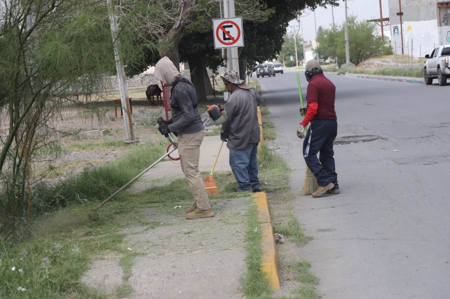 sigue cruzada avenidas