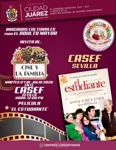 actividad casef sevilla