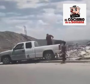 cochino de la semana 21jul