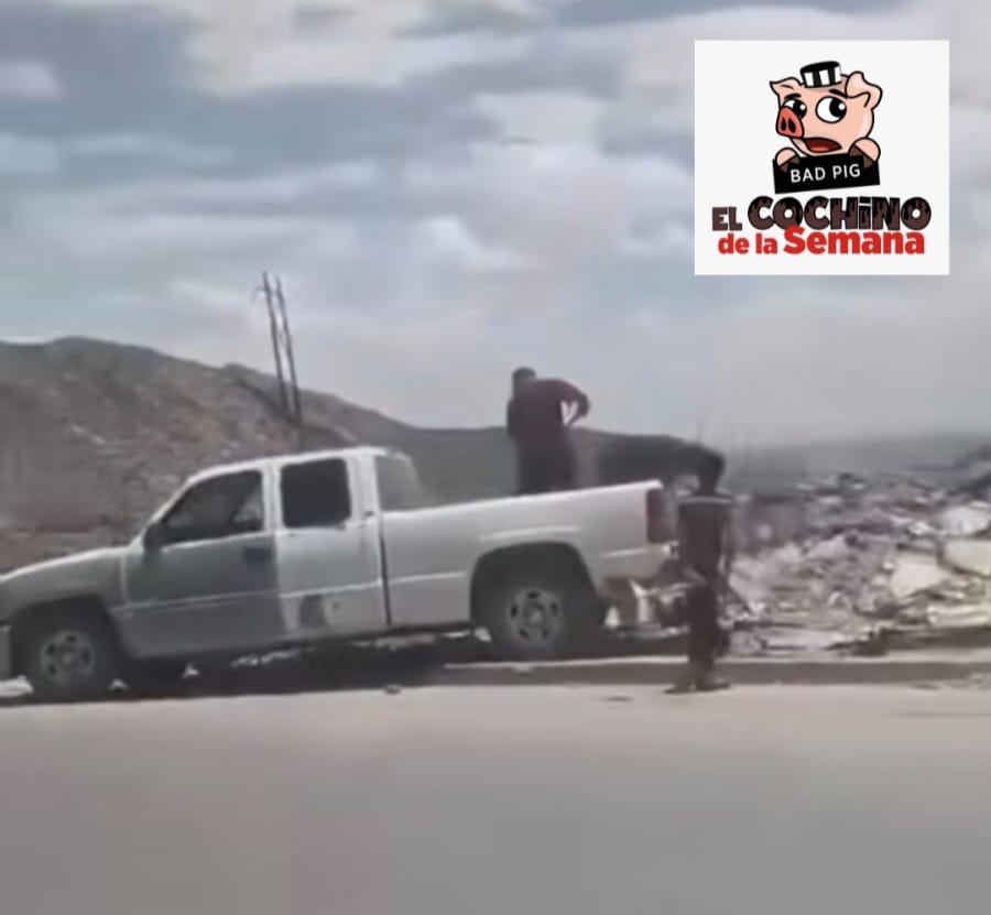 cochino de la semana 21jul