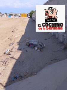cochino semana-2jul.1