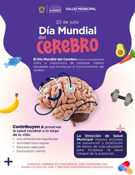 dia mundial cerebro